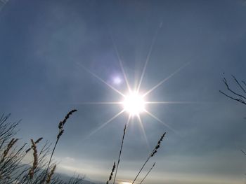 Low angle view of vapor trail against sky during sunset