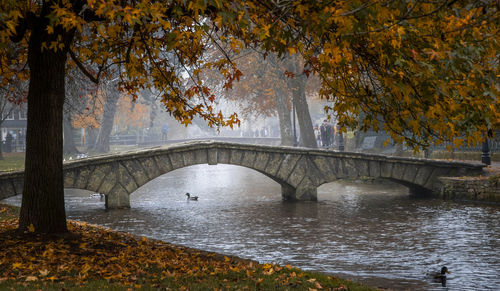 Arch bridge over river during autumn