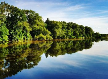 Reflection of trees in water