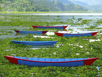 Rowboats in lake