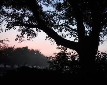 Low angle view of silhouette trees against sky at sunset