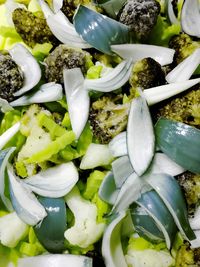 High angle view of chopped vegetables