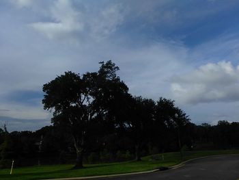 Trees on landscape against sky