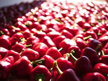 Full frame shot of chili peppers for sale