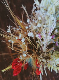 Close-up of flowering plant