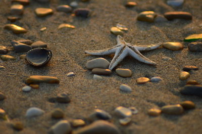 Full frame shot of sand