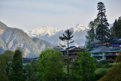 Scenic view of trees and mountains against sky