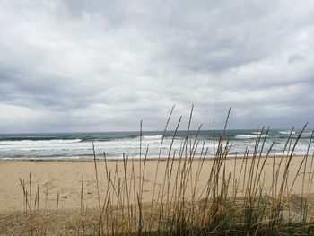 Scenic view of beach against sky