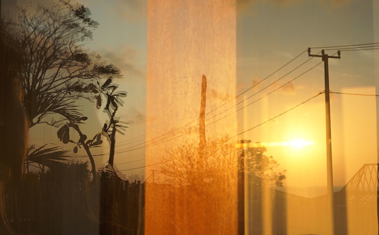 DIGITAL COMPOSITE IMAGE OF PALM TREES AND PLANTS AGAINST SKY DURING SUNSET