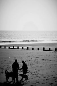 People with dogs walking at beach against clear sky