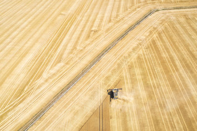 Aerial view of combine harvester in vast wheat field