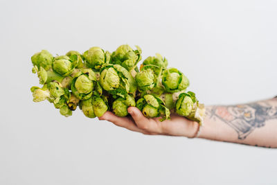 Close-up of hand holding leaf over white background