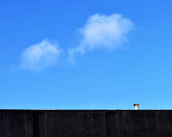 Low angle view of building against blue sky