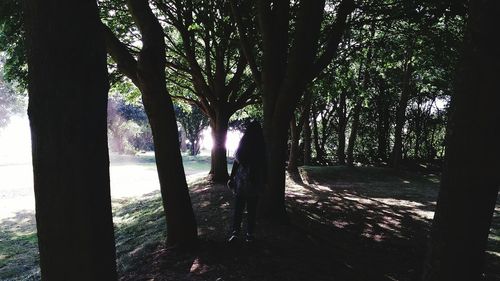 Trees on field