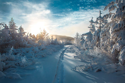 Snow covered landscape against sky