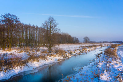 Snow covered land and trees against sky