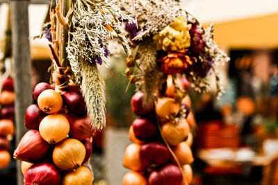 Close-up of flowers hanging on clothesline