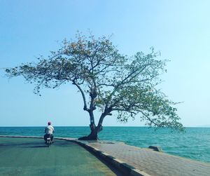 Man on bicycle by sea against clear sky