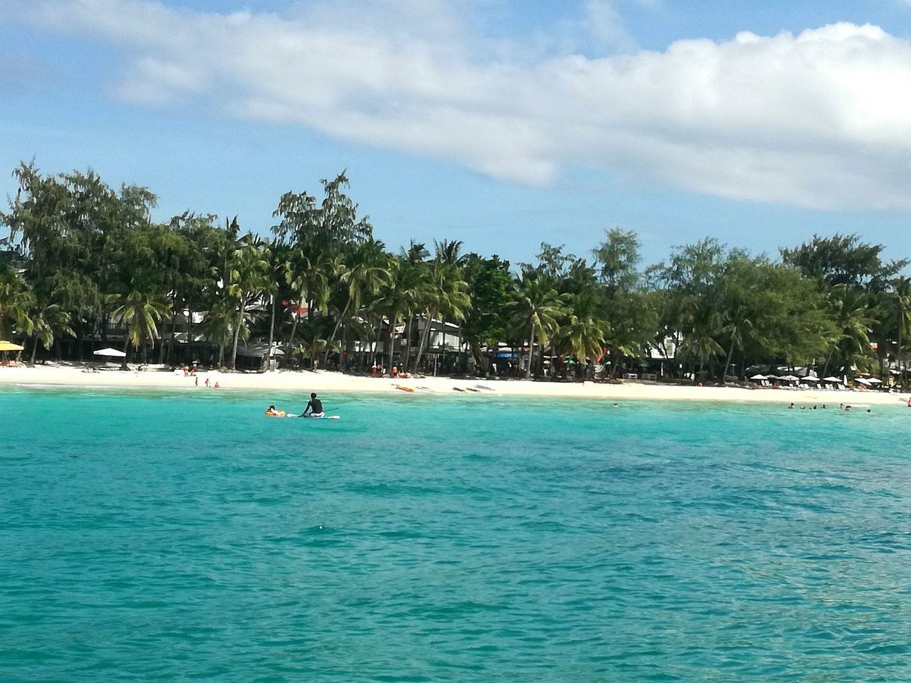 SCENIC VIEW OF TROPICAL BEACH