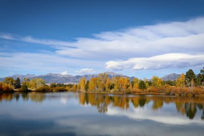 Scenic view of lake by trees against sky