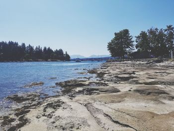 Scenic view of beach against clear sky