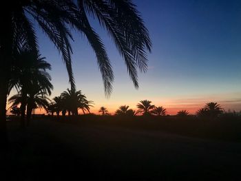 Silhouette palm trees against sky during sunset