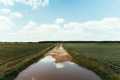 Scenic view of agricultural field against sky