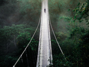 High angle view of people bridge in forest