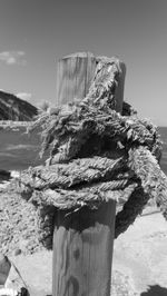 Close-up of wooden post by sea against sky