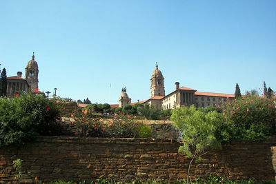 Plants by buildings against clear sky