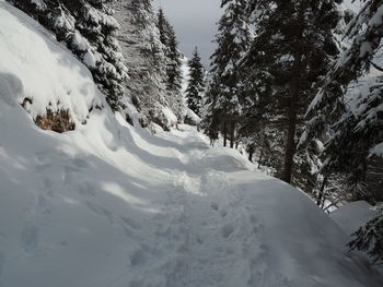 Scenic view of snow covered mountains against sky