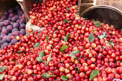 Fruits for sale at market stall