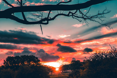 Low angle view of silhouette trees against dramatic sky