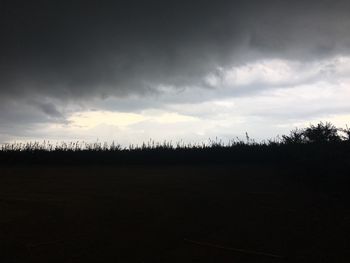 Silhouette trees on field against sky