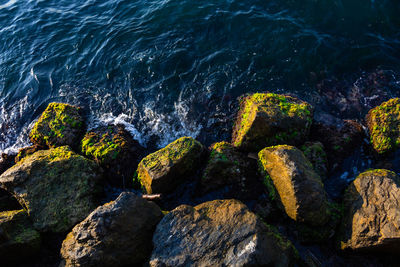 High angle view of rocks on beach