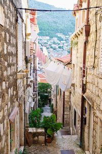 Potted plants on alley amidst buildings in town