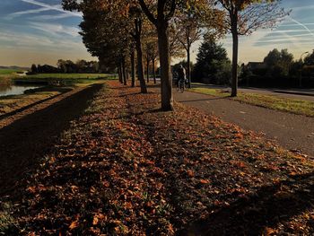 Trees on field against sky during autumn