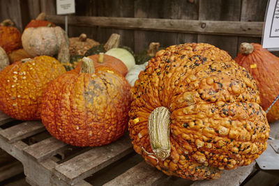 Colorful pumpkins and squash on a wooden table at a farmers market in fall.  woodstock, vermont.