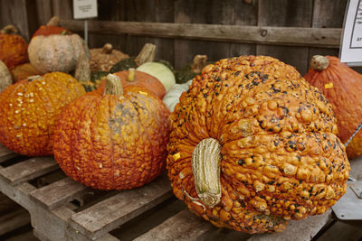 Close-up of pumpkins on table