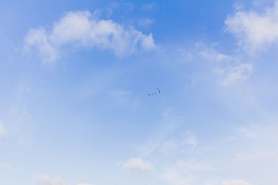 Low angle view of airplane flying in sky