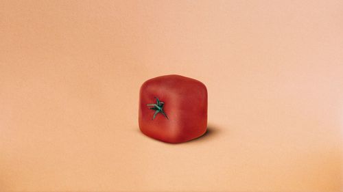Close-up of artificial tomato over colored background