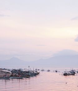 Boats in marina at sunset