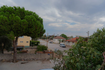 Trees and buildings against sky