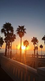 Silhouette palm trees by sea against clear sky during sunset