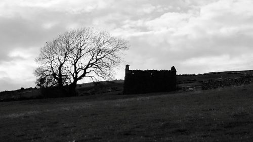 Bare trees on field against cloudy sky