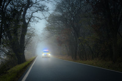 Road amidst bare trees
