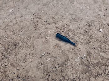 High angle view of umbrella on beach