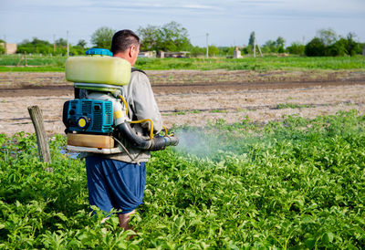 A farmer with a mist fogger sprayer sprays fungicide and pesticide on potato bushes. 