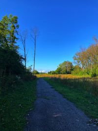 Road amidst trees against clear blue sky