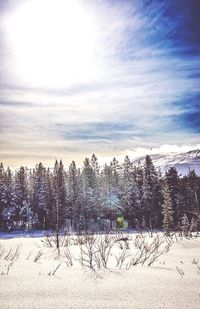 Scenic view of snow covered landscape